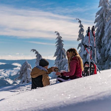 Schwarzwaldhorst 1 Fuer 8 Gaeste In Todtnau, Liftverbund Feldberg المظهر الخارجي الصورة