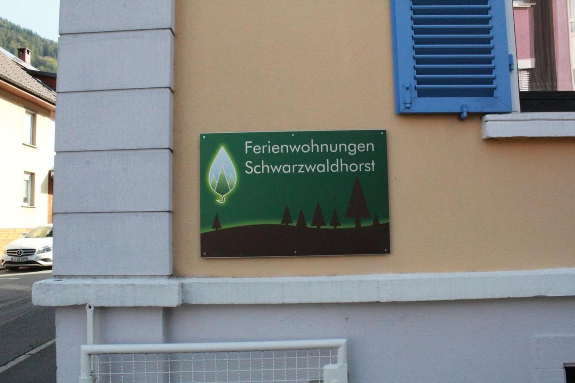 Schwarzwaldhorst 1 Fuer 8 Gaeste In Todtnau, Liftverbund Feldberg المظهر الخارجي الصورة