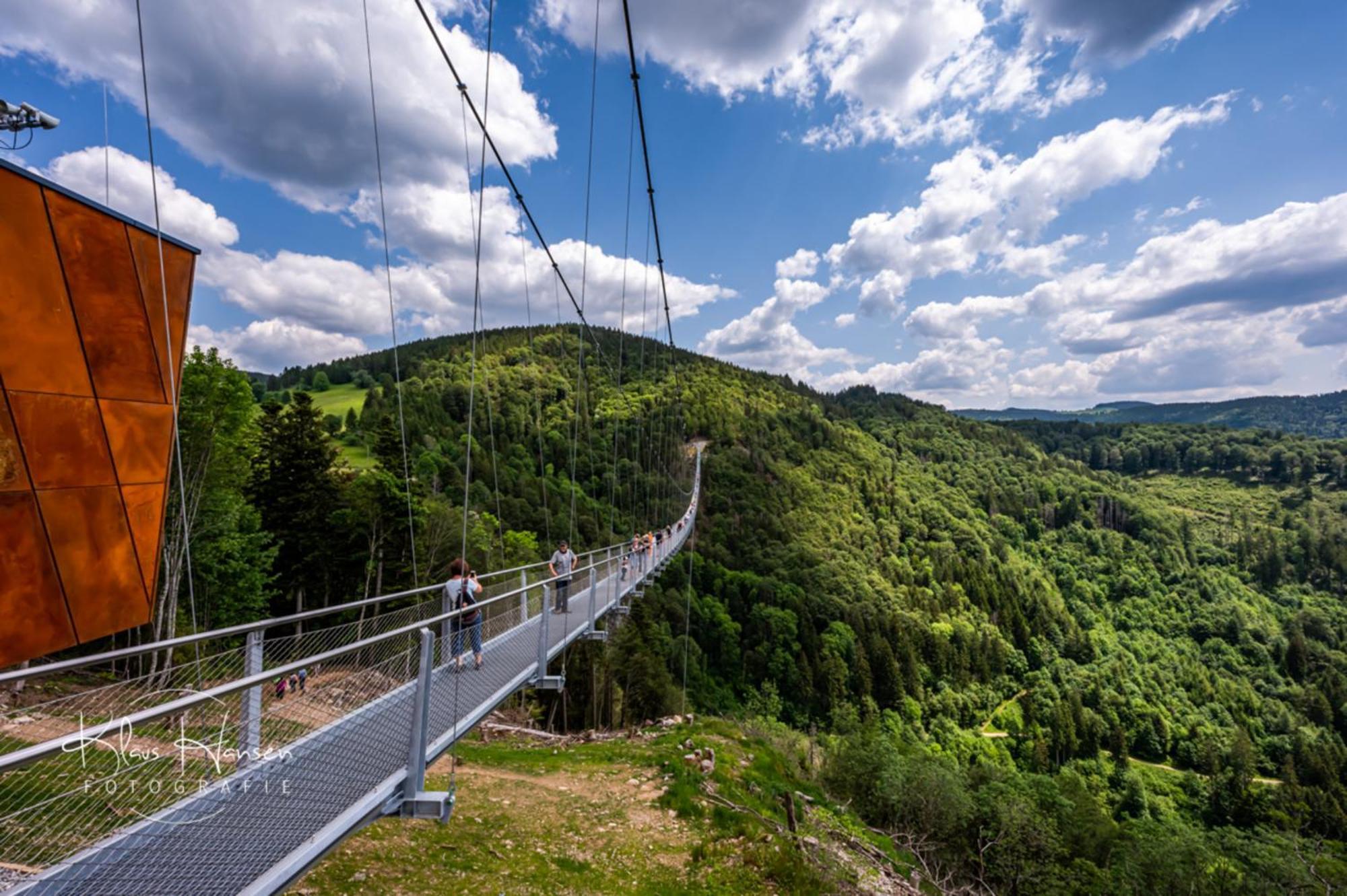Schwarzwaldhorst 1 Fuer 8 Gaeste In Todtnau, Liftverbund Feldberg المظهر الخارجي الصورة