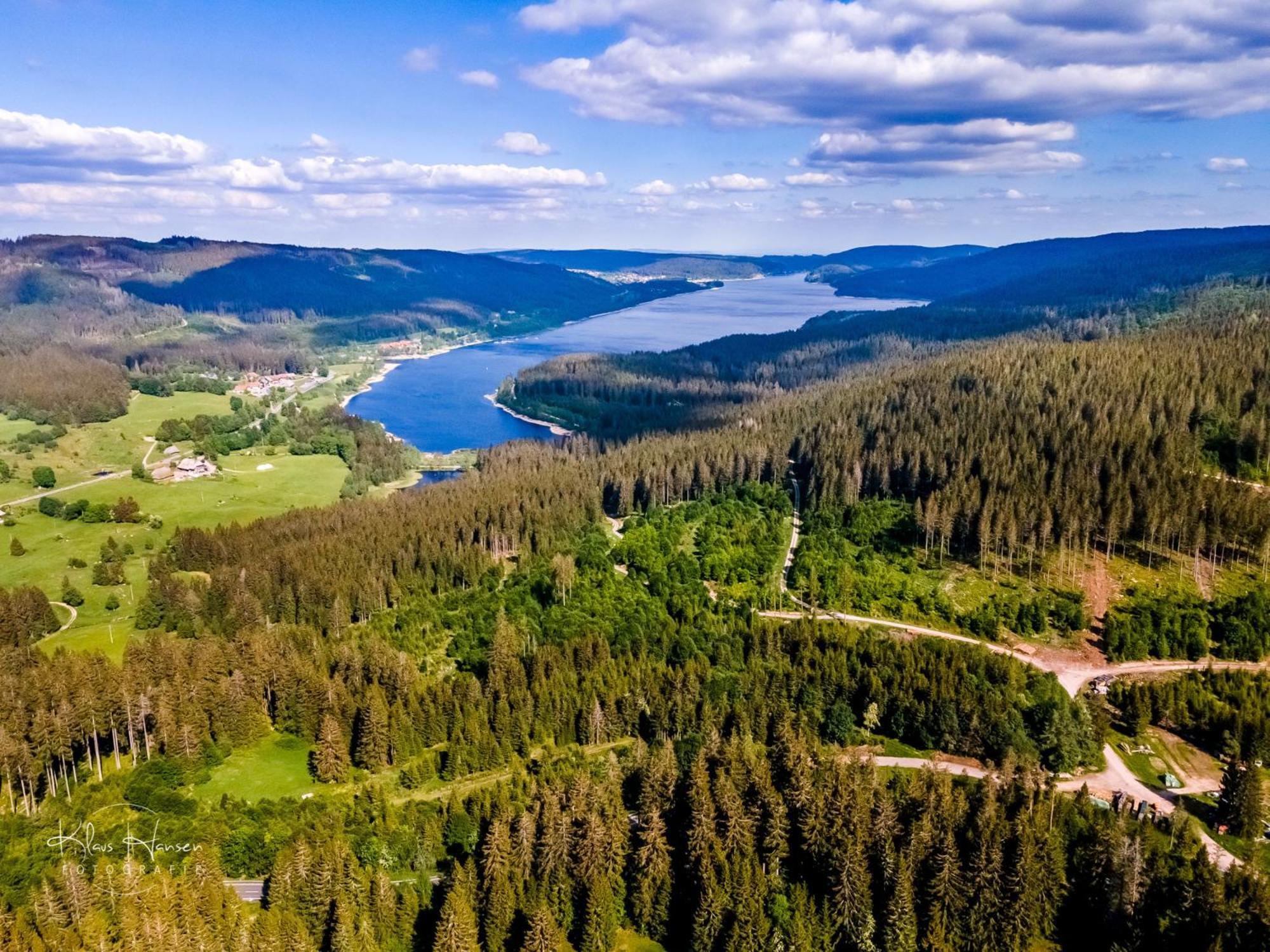 Schwarzwaldhorst 1 Fuer 8 Gaeste In Todtnau, Liftverbund Feldberg المظهر الخارجي الصورة